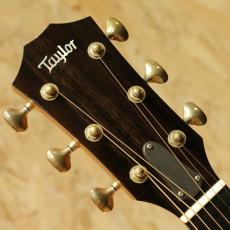 Taylor K16ce LTD 2016_8