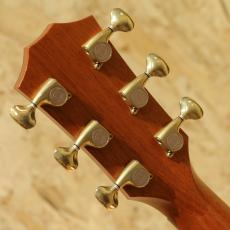 Taylor K16ce LTD 2016_9