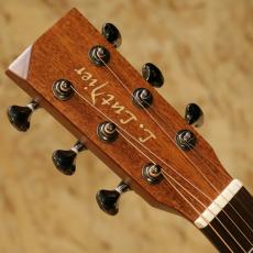 L.Luthier Cofe Light EQ_8