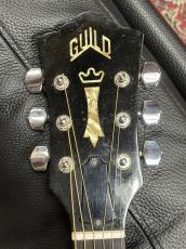 Guild 【虎目メイプル】D-44M 1973年製_3