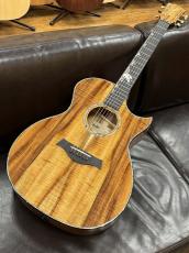 Taylor 【TaylorCustom 商談会モデル】CTM GA Master Grade Koa_2