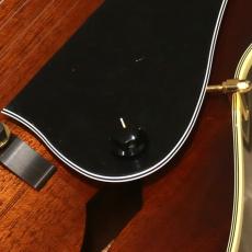 Greco GL-AT, Brown Sunburst_9