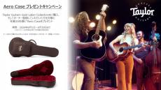 Taylor Gold Label 814e Honduras Rosewood / Natural【AeroCaseキャンペーン中】_11