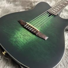 Ibanez FRH20FMN -DGL (Deep Forest Green Low Gloss)【島村楽器限定】【現物画像】【最大36回分割無金利 実施中】_3