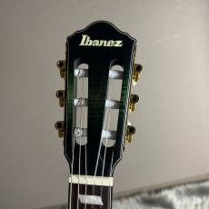 Ibanez FRH20FMN -DGL (Deep Forest Green Low Gloss)【島村楽器限定】【現物画像】【最大36回分割無金利 実施中】_7