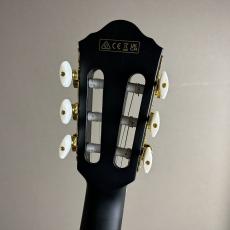 Ibanez FRH20FMN -DGL (Deep Forest Green Low Gloss)【島村楽器限定】【現物画像】【最大36回分割無金利 実施中】_8
