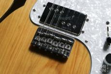 Fender Classic Series '72 Telecaster Thinline Natural 2008_6