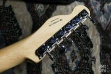 Fender Classic Series '72 Telecaster Thinline Natural 2008_7