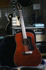 Guild D25M 1979