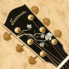 Eastman AC622ce 2024_8