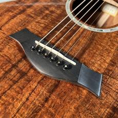 Taylor K24ce JPNLTD2016【現物写真】_4