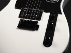 SCHECTER OL-PT-2H-VTR  ~Snow White~_6