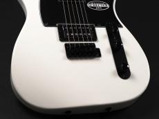 SCHECTER OL-PT-2H-VTR  ~Snow White~_7