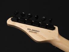 SCHECTER OL-PT-2H-VTR  ~Snow White~_9