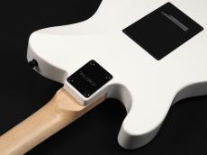 SCHECTER OL-PT-2H-VTR  ~Snow White~_11