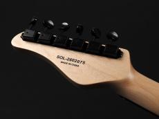 SCHECTER OL-PT-2H-VTR  ~Satin Black Metalic~_9