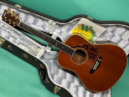 YAMAHA LL-31B
