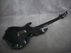 Edwards E-FR-145GT FOREST_9