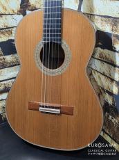 Paulino Bernabe [パウリーノ・ベルナベ] 2021年製 M-30 杉・ローズウッド【日本総本店2F 在庫品】