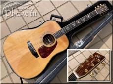 Morris TF-50 / Jacaranda