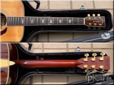 Morris TF-50 / Jacaranda_4