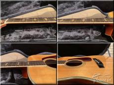 Morris TF-50 / Jacaranda_5