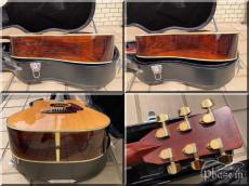 Morris TF-50 / Jacaranda_7