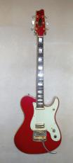 Fender Japan TERRY-1