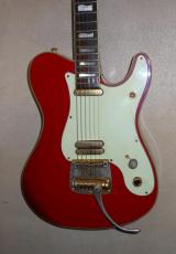Fender Japan TERRY-1_2