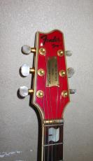 Fender Japan TERRY-1_3