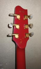 Fender Japan TERRY-1_4