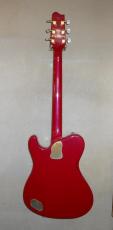 Fender Japan TERRY-1_5