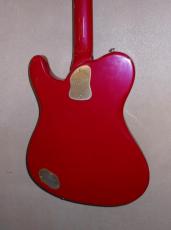 Fender Japan TERRY-1_6
