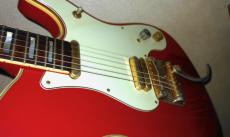 Fender Japan TERRY-1_7