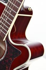 Takamine 【クロサワ横浜店】【シダー単板/ワインレッド】DMP551C WR 【48回無金利分割可能】_8