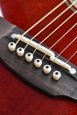 Takamine 【クロサワ横浜店】【シダー単板/ワインレッド】DMP551C WR 【48回無金利分割可能】_9