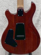 Paul Reed Smith [PRS] SE CE24 -Vintage Sunburst-【CTI F110693】【3.37kg】_9