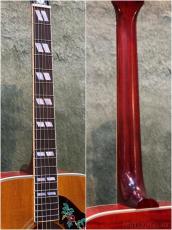 Epiphone 1963 Dove Reissue -Natural- #26031501551【48回迄金利0%対象】【送料当社負担】_7