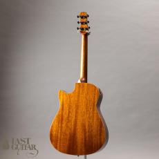 Hozen Guitars Black Label MD Torrefied Sitka Spruce African Mahogany_12