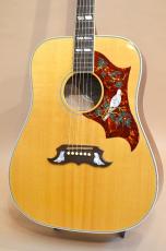 Gibson DOVE　2008年製_5