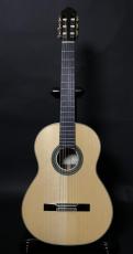 ARIA A-100S