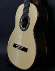 ARIA A-100S_2