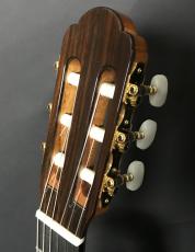 ARIA A-100S_4