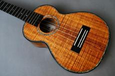Kamaka HF-2D2I Concert DELUXE 'Ipuka【USED/2019年】