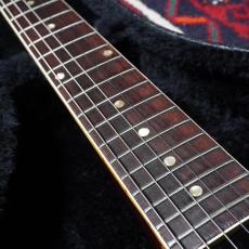 Gibson 1967 SG Special_6