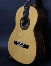 ARIA ACE-7S_2