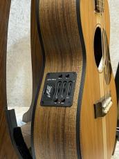Maton 【メイトングッズプレゼントキャンペーン中】EMBW6 #17087【くっきりサップ】_9