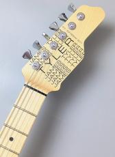James Tyler USA STUDIO ELITE HD -Royal Blue Shmear- (2021年製) 【アルダーボディ】【3.28kg】_5