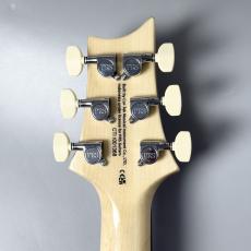 Paul Reed Smith [PRS] SE Custom 24 -Blue Matteo(Natural Back)- 【万能サウンド】【3.66kg】_11