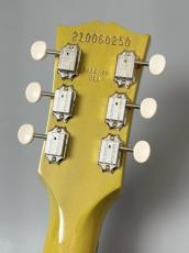 Gibson Les Paul Junior Single Cut TV Yellow #210060250 【3.50kg】_9